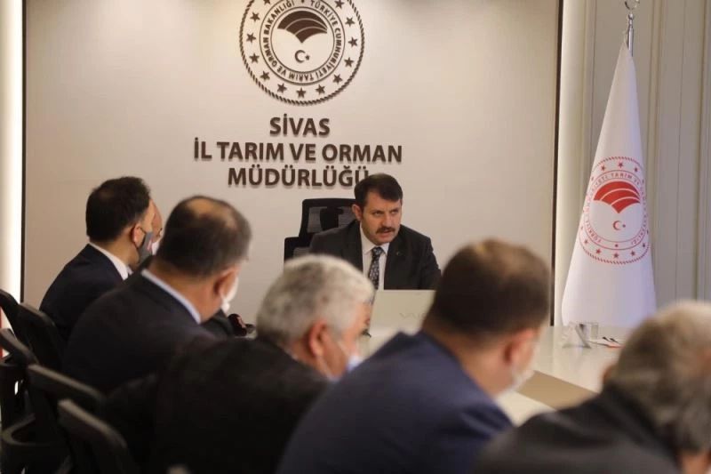 Sivas tarımı kenevirle güçlenecek
