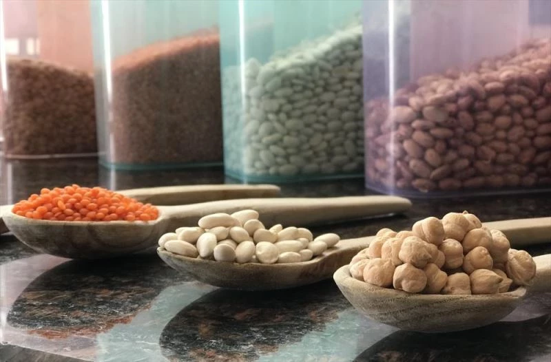 Yağışlar baklagil üreticilerini umutlandırdı