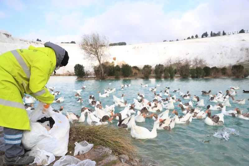 Bayat ekmekler çöp olmuyor

