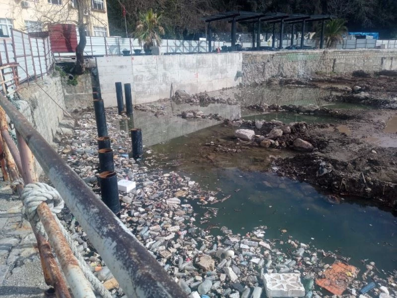 Limandaki görüntü görenleri şaşkına çevirdi

