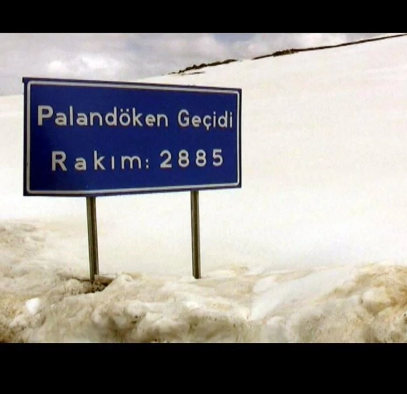 Kar ve tipi nedeniyle Tekman yolu ulaşıma kapandı
