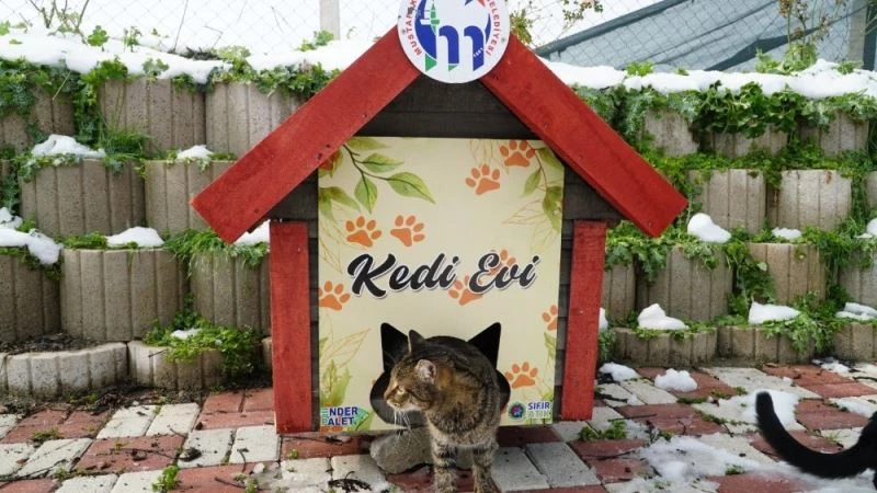 Mustafakemalpaşa kedi evleriyle donatıldı
