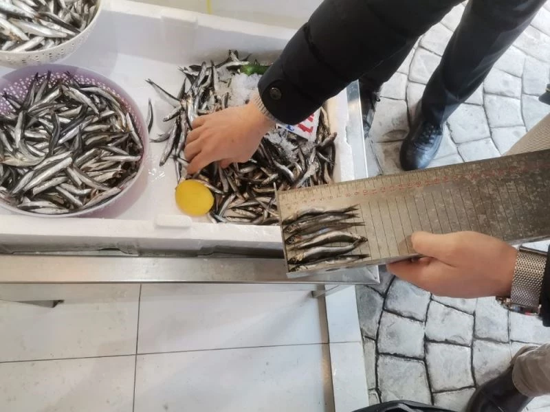 Ordu’da balık tezgahlarına soy ve mavi ışık denetimi
