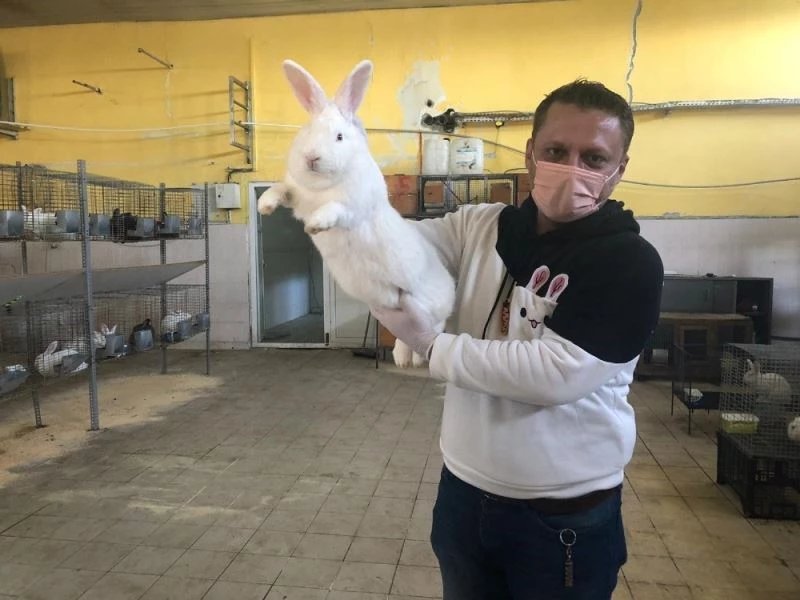 Öğretmenliği bırakıp tavşan çiftliği kurdu
