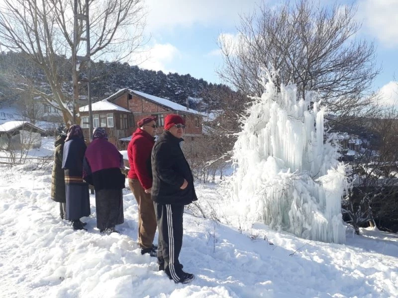Su borusu patladı, buzdan ağaca dönüştü
