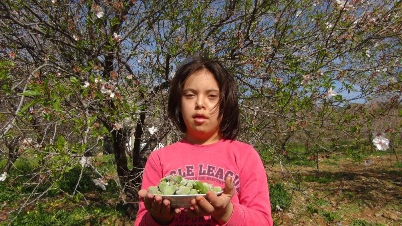 Badem çağlasının kilosu tezgahlarda 100 liradan alıcı buluyor
