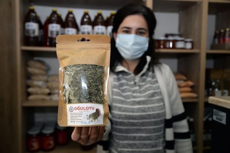 Üniversitenin bitki çayları kış aylarında şifa dağıtıyor
