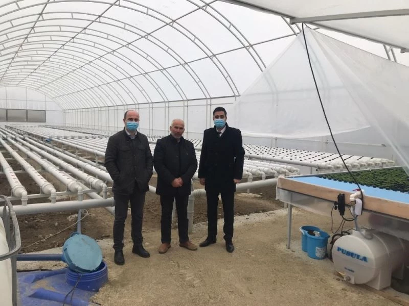 Sungurlu’da kurduğu 500 metrekare serada topraksız marul yetiştiriyor
