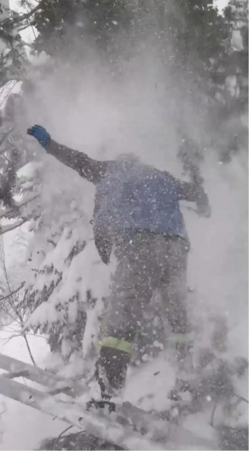 Elektrik tellerinin düşen dalları kesmek isterken böyle yere düştü
