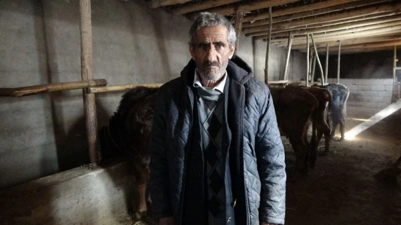Bataklığa saplanan ineğin sahibi Mehmet Emin Amca bu kış mutlu
