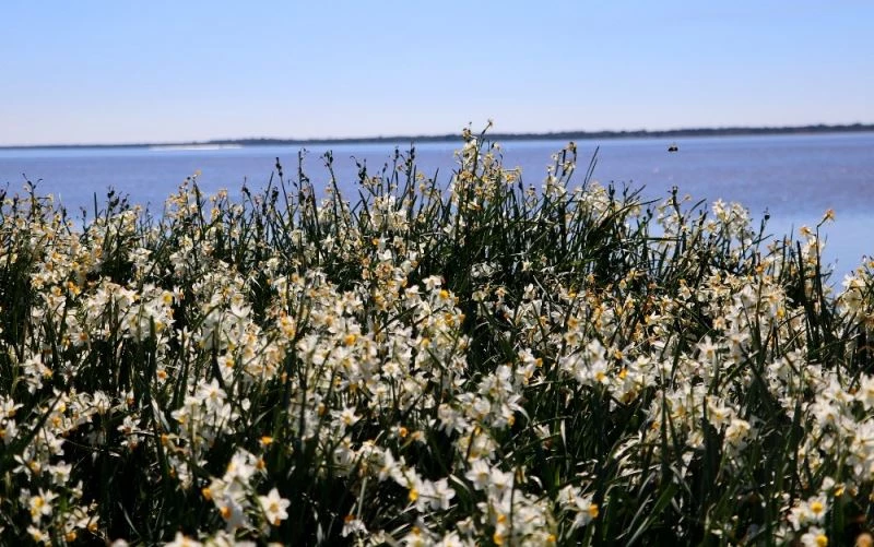 Adana’nın gizli cenneti: 