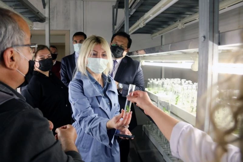 Antalya için Silikon Vadisi hedefi uzak değil
