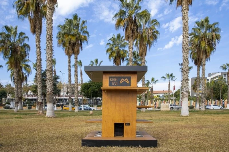 Büyükşehir Belediyesi, sahilde 10 noktaya kedi evi yerleştirdi
