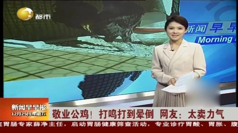 Öterken bayılan Denizli horozunun ünü Japon basınında
