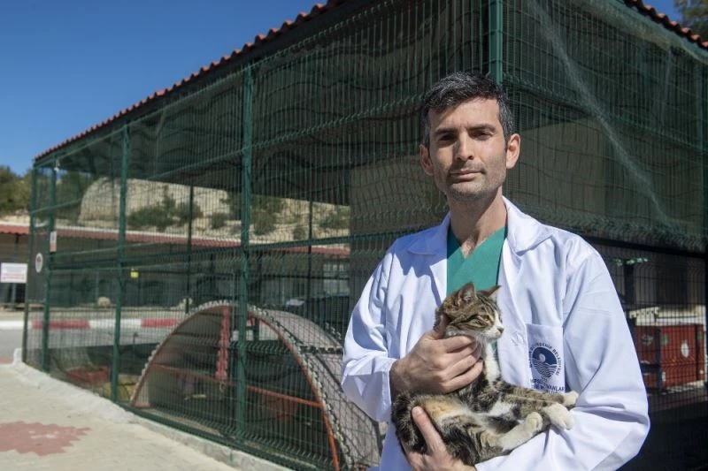 Hayvanlarda kısırlaştırmanın önemi masaya yatırıldı
