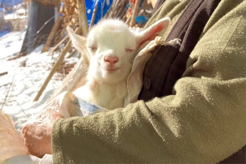 İşte mutluluğun fotoğrafı
