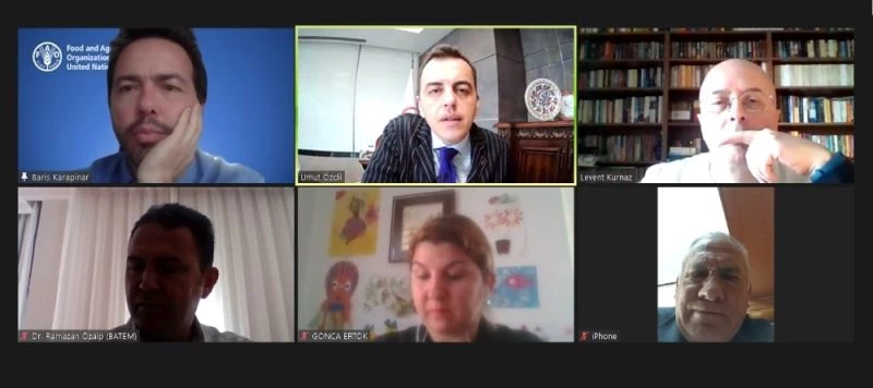 Krizin çözümü yeşil paket
