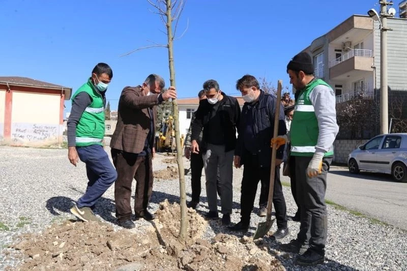 Alitaşı Mahallesi yeşilleniyor
