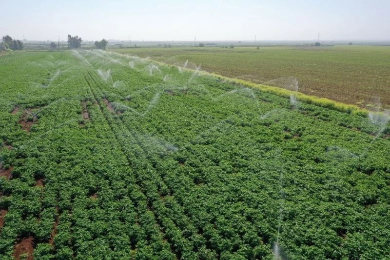 Sulama sistemlerine yüzde 50 hibe verilecek
