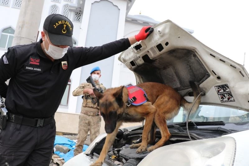 Jandarmanın hassas burunları 