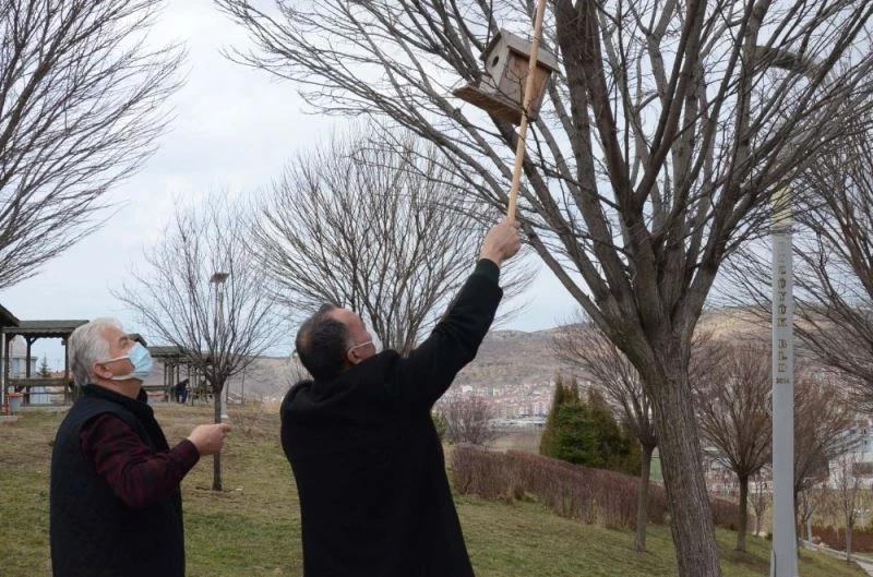 Kuş yuvaları ağaçlardaki yerini aldı

