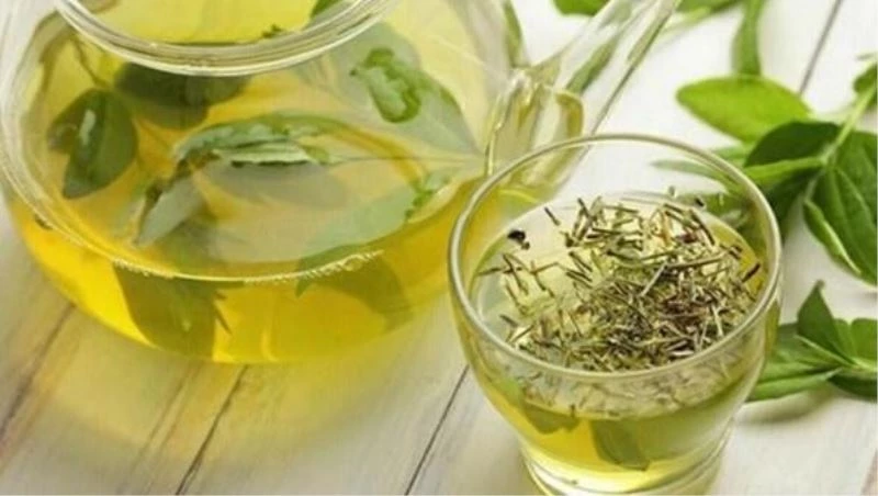 Kartepe’de tıbbi nane yetiştiriciliği için harekete geçildi
