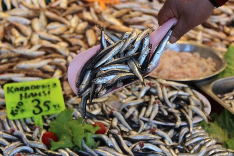 Yasak kalkınca hamsi tezgahlardaki yerini aldı

