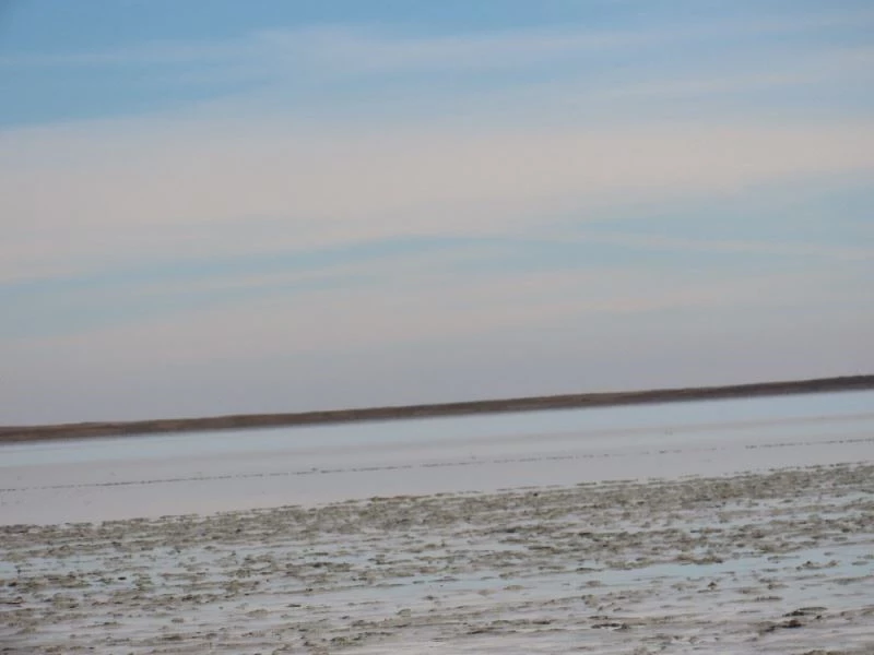 Bozkır, sekiz ay sonra flamingoların gelişiyle canlandı
