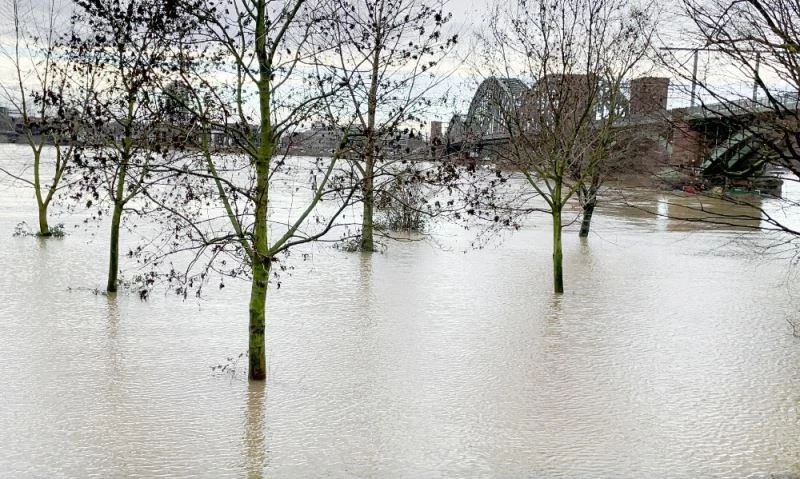Almanya’da Ren Nehri taştı
