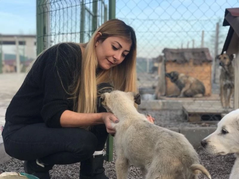 ’Can dostlarının’ yaşama tutunmaları için mücadele ediyor
