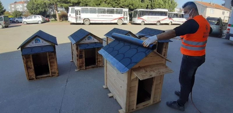 Sevimli dostlar için kulübeler
