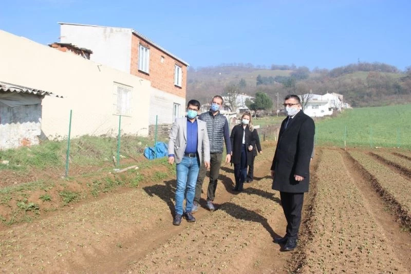 Çan Belediyesi salep fidelerinin gelişimini Tarım Müdürlüğü ile birlikte takip ediyor
