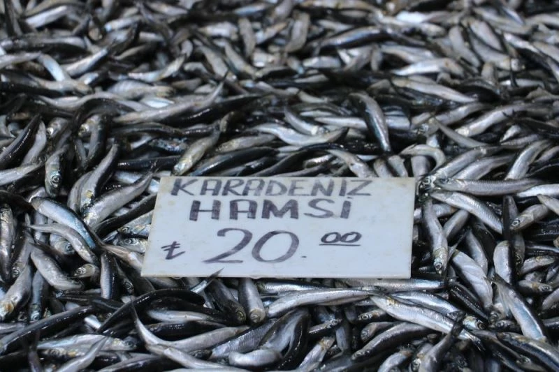 Yasak uzatıldı, sevenleri dondurulmuş hamsiyle yetinmek zorunda kaldı
