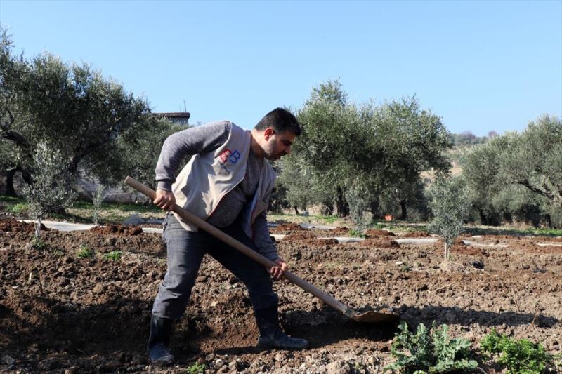 Hataylı çiftçiler yağış sonrası tarım arazilerini ekiyor