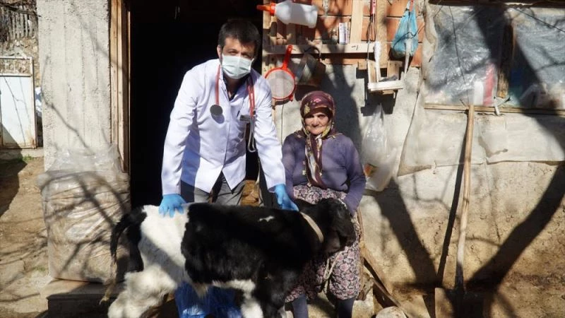 MAKÜ Veteriner Fakültesi öğretim üyeleri, çiftçilerin sorunlarına çare oluyor