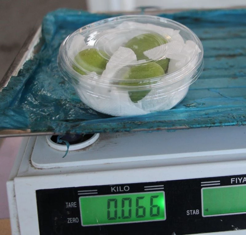 Antalya’da altınla yarışan erikler
