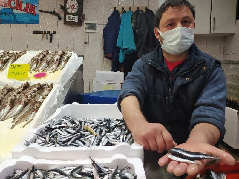 30 gün üzerine avlanmaya başlanan ve tezgahlara gelen hamsi, balıkçıları memnun etmedi
