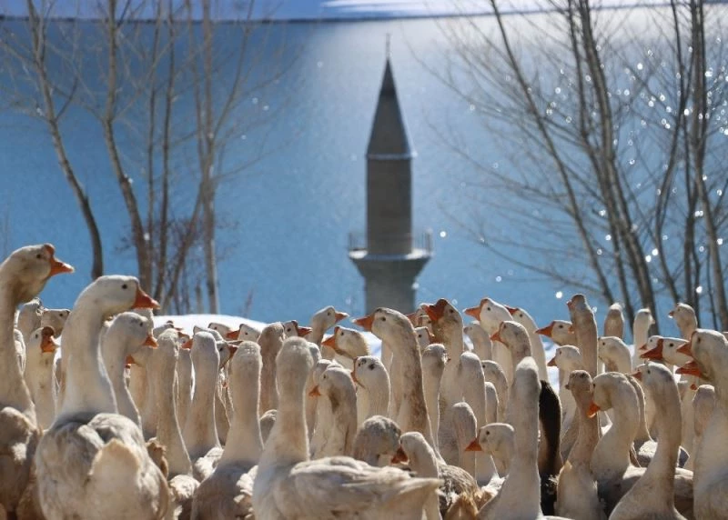 Kar manzarasıyla bütünleşen baraj ortasındaki minare görenleri mest etti
