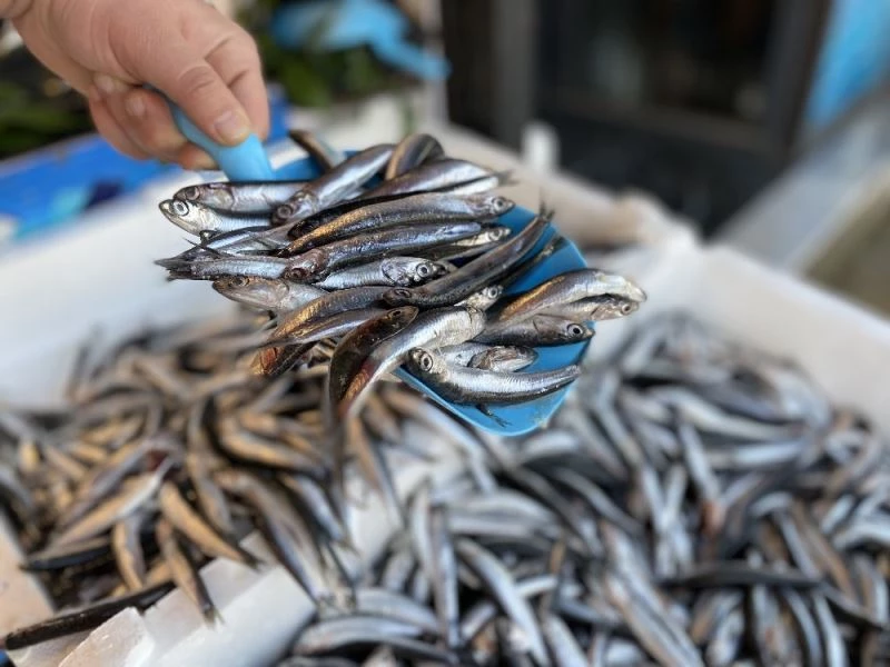 Yasak kalktı hamsi tezgahtaki yerini aldı
