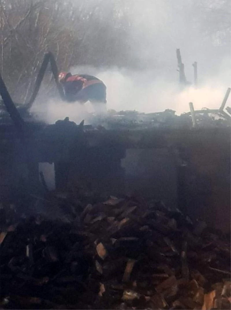 Kereste atölyesindeki yangında tavuklar ve köpek telef oldu
