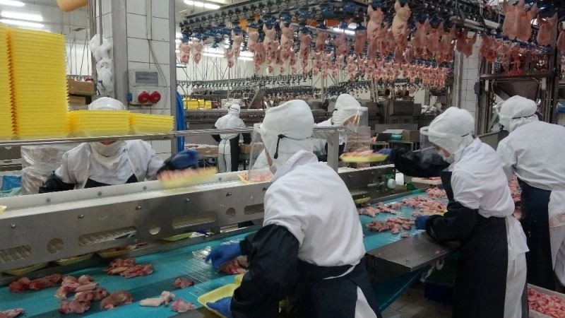 Gedik Piliç, 2021’de de ‘Mutfağın Gediklisi’ olacak
