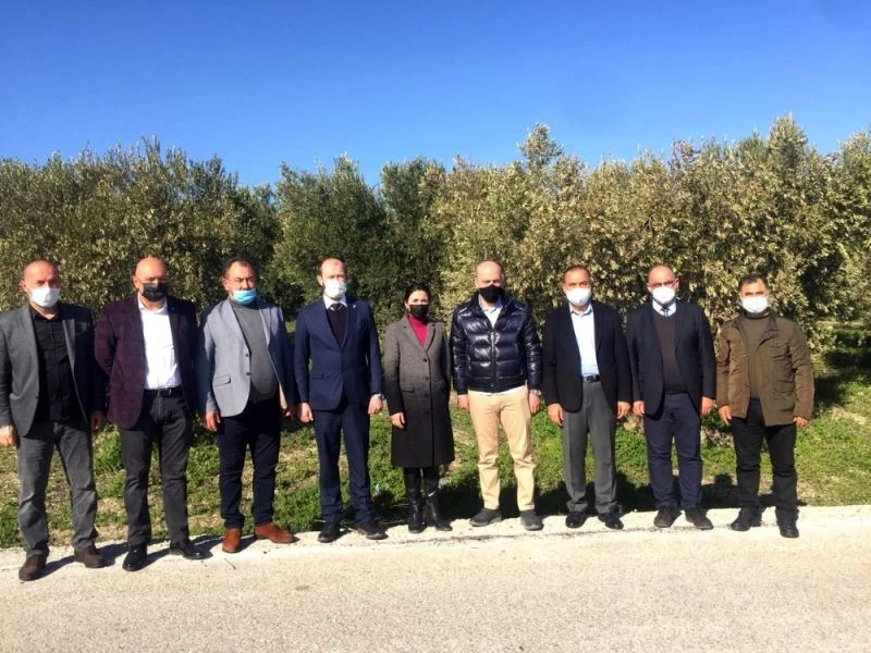 Milletvekili Işık zeytincileri dinledi
