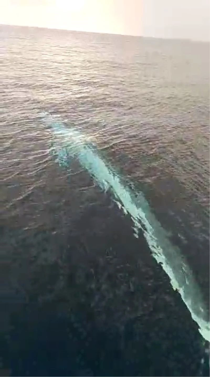 Akdeniz’de 15 metrelik oluklu balina görüntülendi