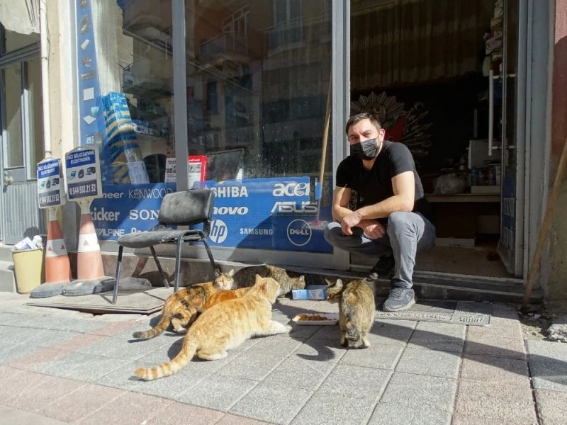 Hisarcıklı esnaf onlarca kediyi besliyor
