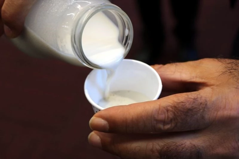 Veganlar için ‘kenevir sütü’
