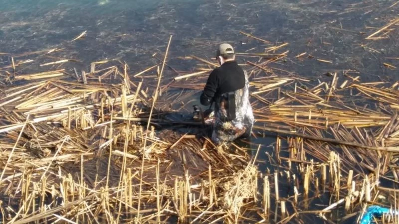 Beyşehir Gölü’nde balıkçı ağına takılan bahri kuşu kurtarıldı
