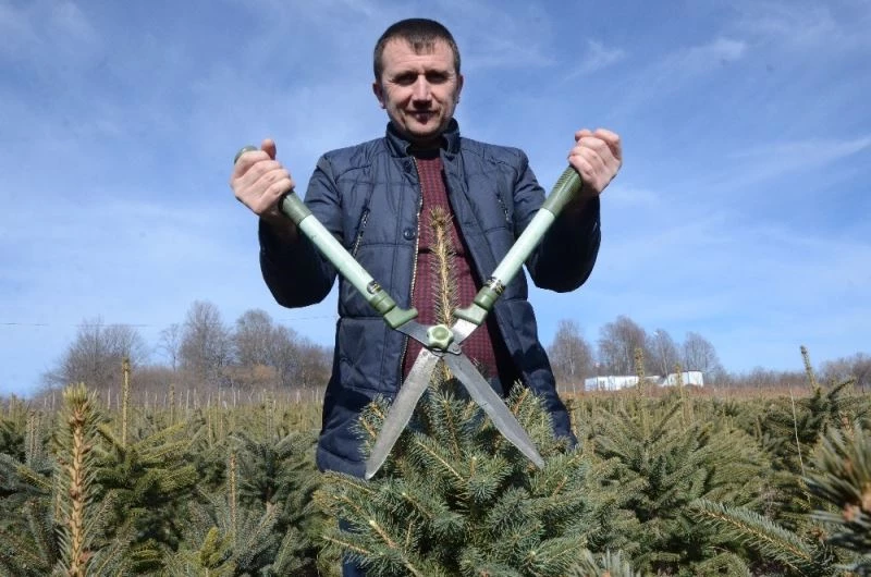 Hobi olarak ektiği fidanların toplam değeri 1,5 milyon TL
