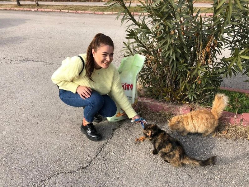 Zabıt katibi kedilerin umudu oldu
