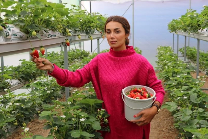 Girişimci kadın topraksız tarımla çilek üretti
