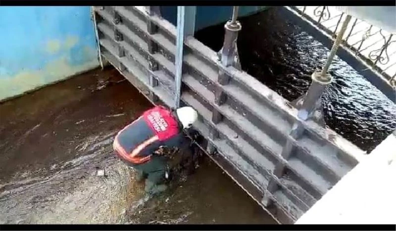 Demir korkuluklara sıkışan kediyi itfaiye kurtardı
